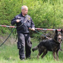 Chebsko: Muž byl v pořádku vypátrán ve vysoké trávě
