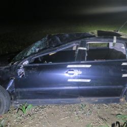 Chebsko: Řidič utekl, vypátral ho policejní pes Floki