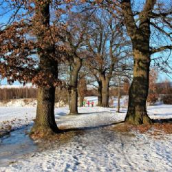 Chodov: Alej u Bílé vody je nejoblíbenější v kraji