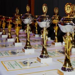 Chodov: Město bude hledat sportovce roku, nominujte své favority