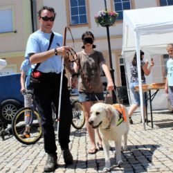 Chodov: Město opět podpoří sociální projekty