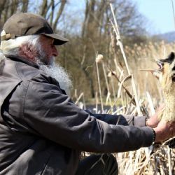 Chodov: Město opět pomůže se záchranou handicapovaných zvířat