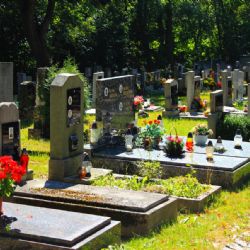 Chodov: Město pokračuje v revitalizaci a rozvoji městského hřbitova