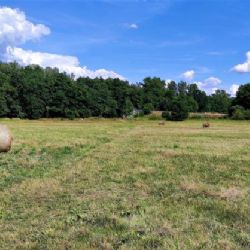 Chodov: Město připravuje novou zahrádkářskou osadu