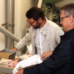 Chodov: Už se vaří! Město si chystá na oslavy vlastní pivo