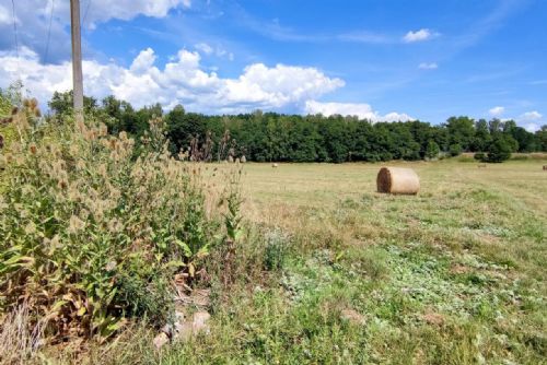 Foto: Chodov: Vzniká nová zahrádkářská kolonie, do dražby půjde 51 pozemků