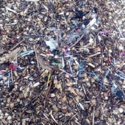 Co dělat, když najdete injekční stříkačku? Zavolat městskou policii!