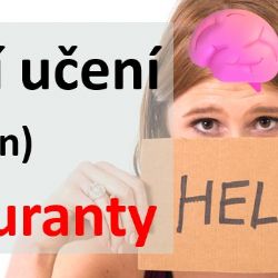 Efektivní učení (nejen) pro maturanty v K. Varech: Seminář pomůže s přípravou na maturitu