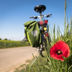 Karlovarsko: Den cyklostezky Ohře se uskuteční na začátku měsíce června 