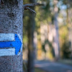 Karlovarský kraj podpoří rozvoj oblasti Hřebenové trasy Krušných hor - západ