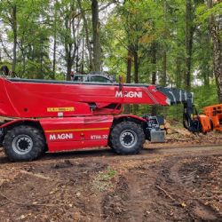 Karlovy Vary: Bezpečné kácení stromů ve městě zajišťuje stroj za 10 milionů korun