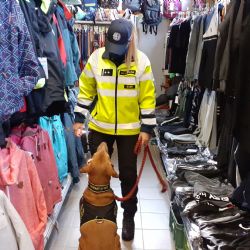 Karlovy Vary: Celníci loni vybrali téměř 800 milionů korun