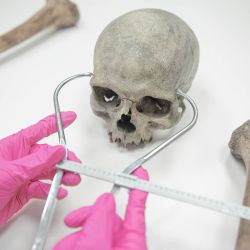 Karlovy Vary: Detektivové, četníci a sběratelé kostí