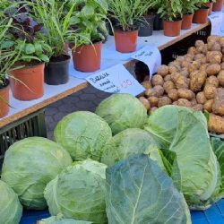 Karlovy Vary: Farmářské trhy opět v pátek u Tržnice