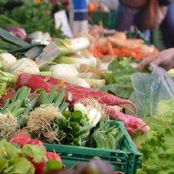 Karlovy Vary: K Tržnici se po zimní odmlce opět vracejí farmáři