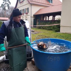 Karlovy Vary: Lázeňské lesy připravily atraktivní adventní program