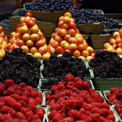 Karlovy Vary: Lokální produkty a čerstvou sklizeň přivezou farmáři v pátek k Tržnici