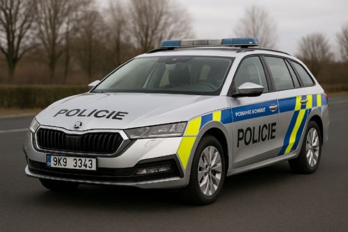 obrázek:Karlovy Vary: Neoprávněně čerpali příspěvky na zdravotně postižené zaměstnance