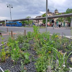 Karlovy Vary: Okolí Tržnice probarví záhony s tisícovkami trvalek