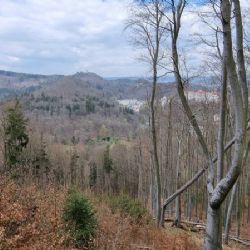Karlovy Vary: Přírodní rezervace na území lázeňských lesů bude brzy zaregistrována