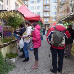 Karlovy Vary: Sezóna farmářských trhů  v pátek končí
