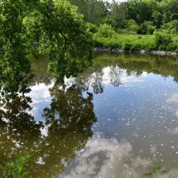Karlovy Vary: Studie zmapovala, kde by mohly v kraji vzniknout malé vodní nádrže