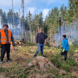 Karlovy Vary: V lázeňských lesích pracuje devět ukrajinských uprchlíků