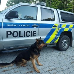 Kolová: Seniorka se ztratila při hledání hub