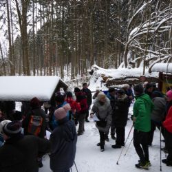 Mariánské Lázně: Ať žije král smrků