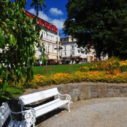 Mariánské Lázně: Jarní dendrologická procházka po stopách V. Skalníka