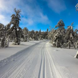 Mariánské Lázně: Kraj schválil příspěvek na úpravu lyžařských běžeckých tras
