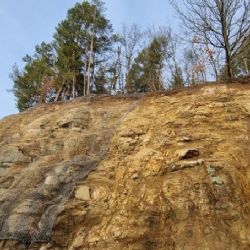 Mírová: Skalní stěny chráněné geosítěmi budou do dvou let zbaveny náletové vegetace