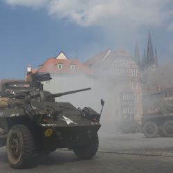 Tipy Západu 11. týden 2025: Největší smrk ČR, středověké nálezy a historické oslavy