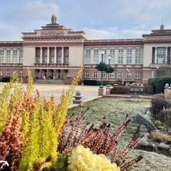 Ostrov: Dům kultury čekají změny