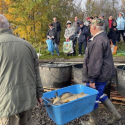 Ostrov: Kaprům se letos dařilo