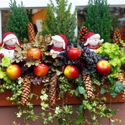 Preventisté z Krajského ředitelství policie Karlovarského kraje připravili projekt s názvem „Advent seniorům“