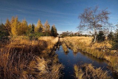 Foto: Region: Chráněná krajinná oblast Krušné hory bude největší v České republice