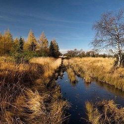 Region: Chráněná krajinná oblast Krušné hory bude největší v České republice