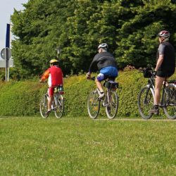 Region: Cyklobusy budou opět brázdit region s přispěním kraje