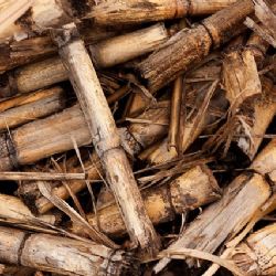 Region: Díky spalování biomasy snižuje Elektrárna Tisová významně produkci emisí