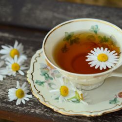 Region: Dobrota Karlovarského kraje vstupuje do 7. ročníku