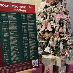 Region: Karlovarský kraj bude rozdávat radost prostřednictvím Vánočního stromu splněných přání