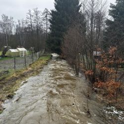 Region: Koryto Chodovského potoka čeká očista