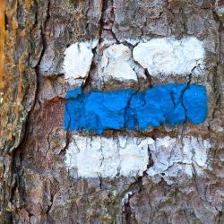 Region: Kraj podporuje aktivity Klubu českých turistů, který se stará o značení pěších tras