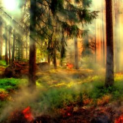 Region: Kraj se chystá zmapovat rizikové lokality, kde mohou hrozit rozsáhlé požáry