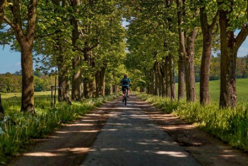 Foto: Region: Na přípravu nového cykloúseku na trase Loučky–Loket kraj přispěje půl milionu korun