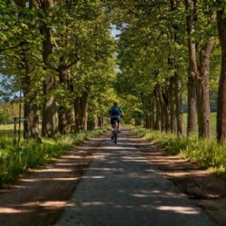 Region: Na přípravu nového cykloúseku na trase Loučky–Loket kraj přispěje půl milionu korun
