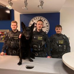 Region: Policisté vypátrali a zadrželi šestatřicetiletého vězně