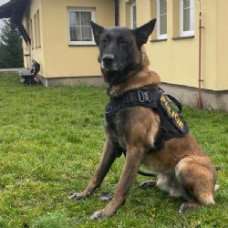 Region: Policisté vypátrali pohřešovanou ženu