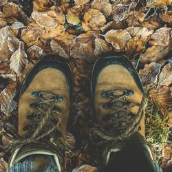 Region: Poznejte památky města Chyše v doprovodu karlovarského historika a archeologa